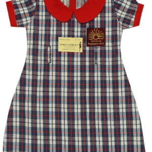 Girls frock